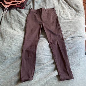 Express / Black Pants